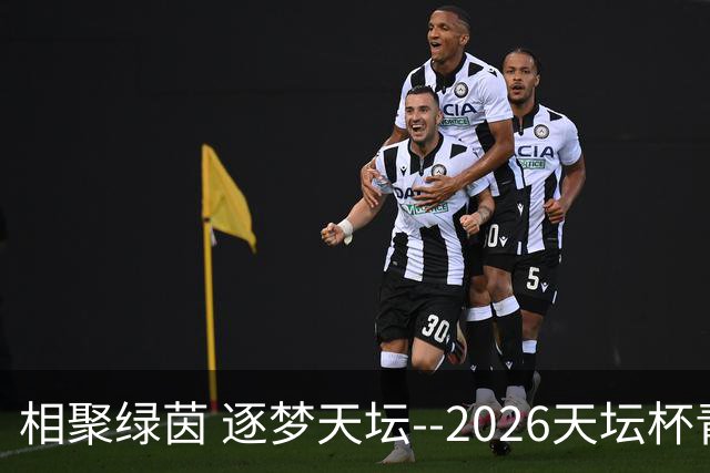 相聚绿茵 逐梦天坛--2026天坛杯青少年足球交流火热开启